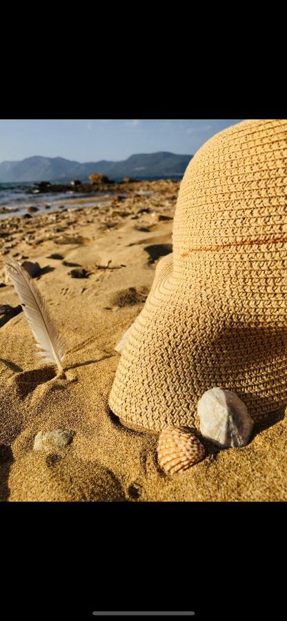 Villa Sul Mare Chalkís Dış mekan fotoğraf