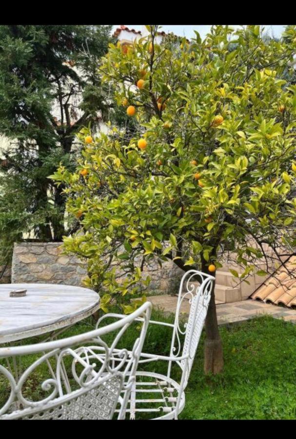 Villa Sul Mare Chalkís Dış mekan fotoğraf