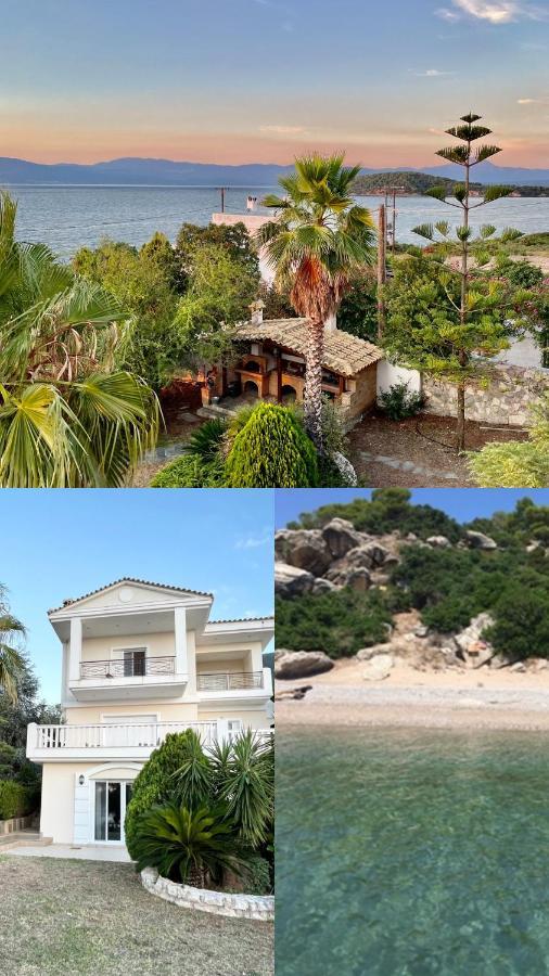 Villa Sul Mare Chalkís Dış mekan fotoğraf