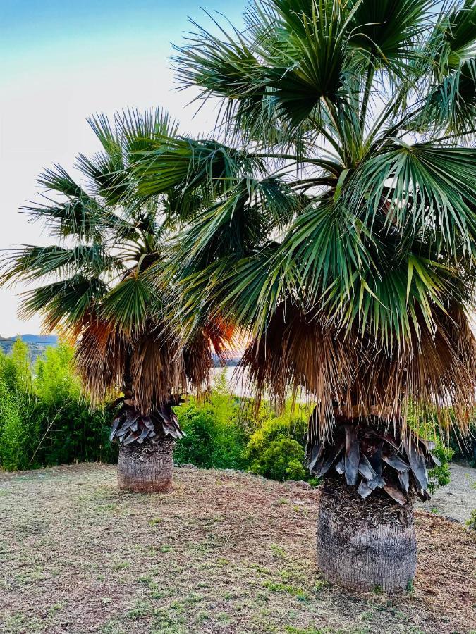 Villa Sul Mare Chalkís Dış mekan fotoğraf